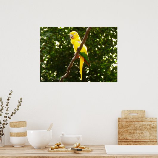 Poster Perroquet jaune (Cuisine)