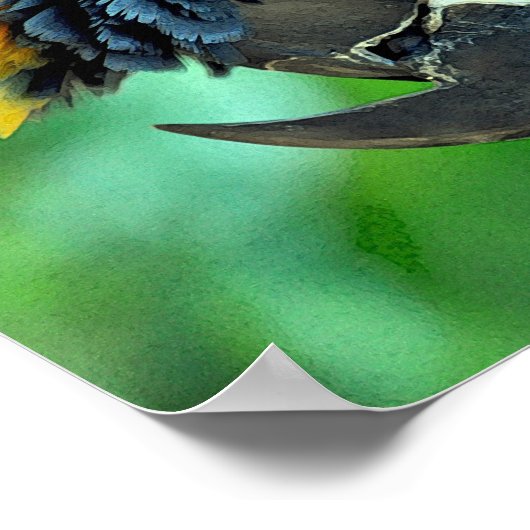 Poster Perroquet macaou coloré (Coin)