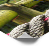 Poster Perroquet macaw exotique (Coin)