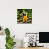Poster Perroquet macaw exotique (Bureau à domicile)