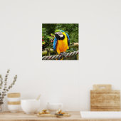 Poster Perroquet macaw exotique (Cuisine)