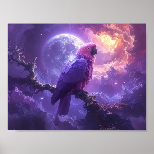 Poster Perroquet Magique (Devant)