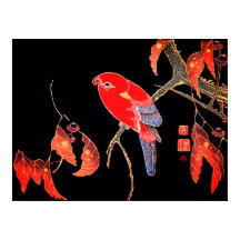 Perroquet rouge japonais sur branche d'arbre par I