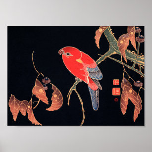 Poster Perroquet rouge sur la branche d'un arbre par Ito 