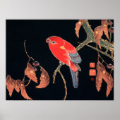 Poster Perroquet rouge sur une branche d'arbre, (Devant)