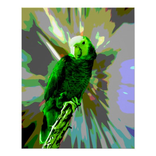 Poster Perroquet vert 6537 (Devant)