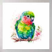 Poster Perroquet vert - Bébé mignon oiseau (Devant)
