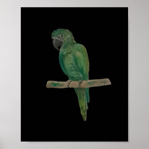 Poster Perroquet vert vibrant – Art à l'aquarelle peint à