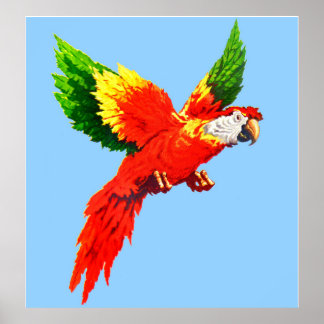 Poster perroquet volant