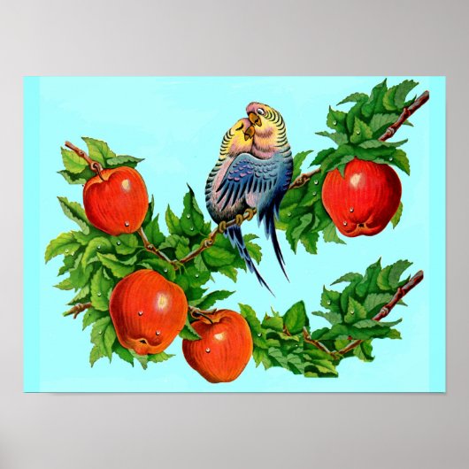 Poster perroquets amoureux (Devant)