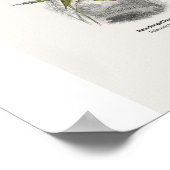 Poster Perroquets - Bibliothèque des naturalistes (Coin)