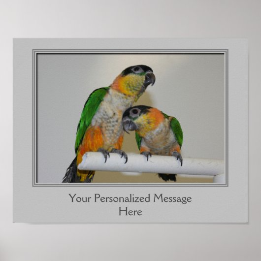 Poster Perroquets caïques à tête noire personnalisés (Devant)