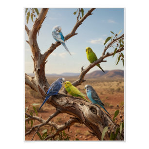 Poster Perroquets Colorés Sur Branche D'Arbre Oiseaux Tro