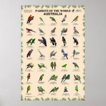 Perroquets du monde - Australie