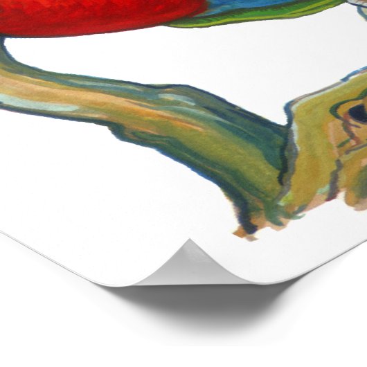 Poster Perroquets et perroquets Imprimer (Coin)