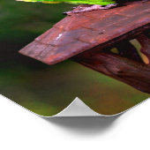 Poster Perrot de purée à tête cendrée (Coin)