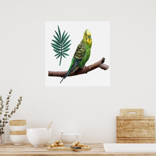 Poster Perruche (Cuisine)