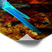 Poster Perruche (Coin)