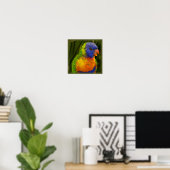 Poster Perruche colorée (Bureau à domicile)