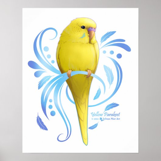 Poster Perruche jaune (Devant)