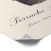 Poster Perruche soleil mâle, Aratinga solstitialis (Coin)