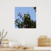 Poster Perruche verte (Cuisine)