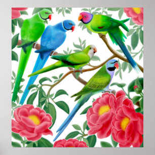 Poster Perruches et copie de pivoines