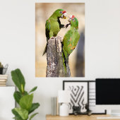 Poster Perruque Mitred sur poteau en bois (Bureau à domicile)