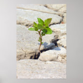 Poster persévérance (Devant)