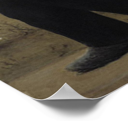 Poster Persévérer (Coin)