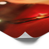 Poster Persian Kitten - Fourrure molle et grands y (Coin)