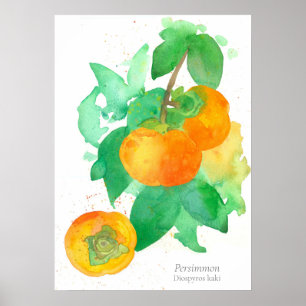 Poster Persimmon Fruit Botanical Watercolor