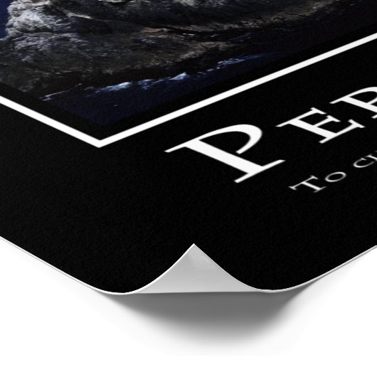 Poster Persistance (Coin)