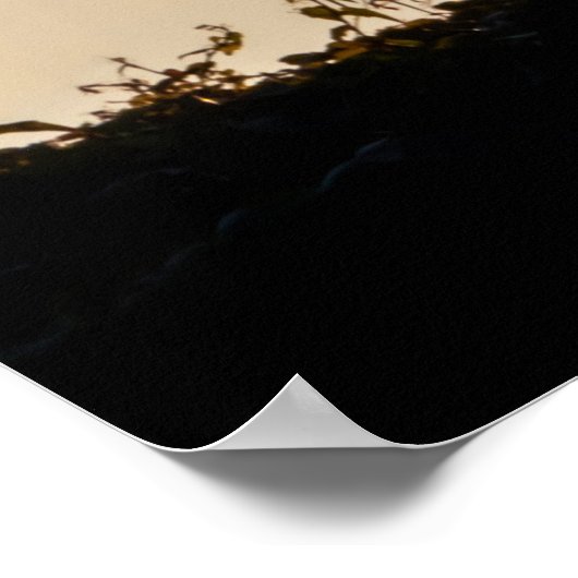 Poster Personalizable Carpe Diem with sunset sunbeams (Coin)