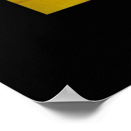 Poster Personalized Add 3 Photographs Custom Made (Coin)