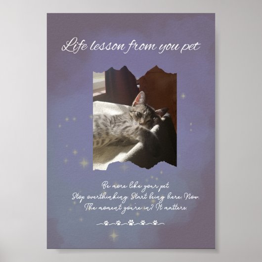 Poster Personalized Dreamy Life Lessons from your Pet (Devant)