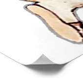 Poster Personnages de nursery Peter Rabbit Beatrix Potter (Coin)