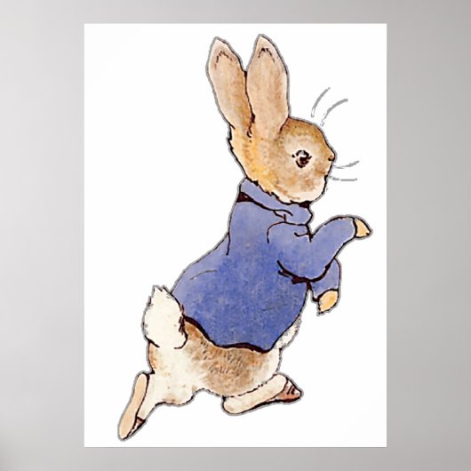 Poster Personnages de pépinière Peter Rabbit Beatrix Pott (Devant)
