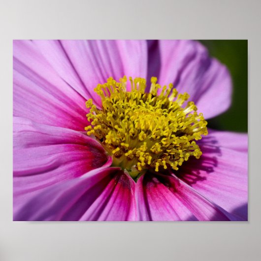 Poster personnalisation Anniversaires Destinée Destinée (Devant)