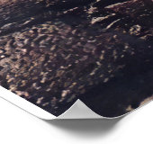 Poster Personnalisé À Ma Cute Cat Et Lion Blanket (Coin)