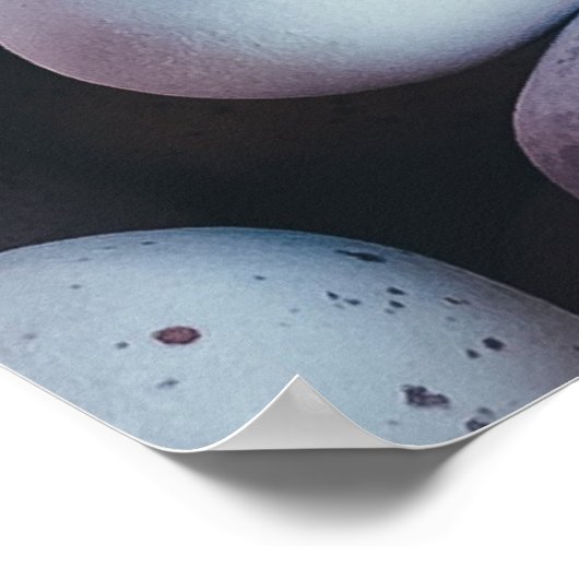 Poster Personnalisé/ Minimaliste/ Bonne Pâques (Coin)