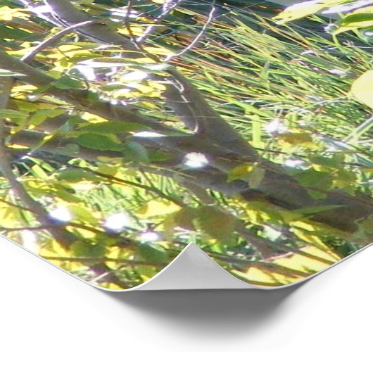 Poster personnalisé Okapi (Coin)