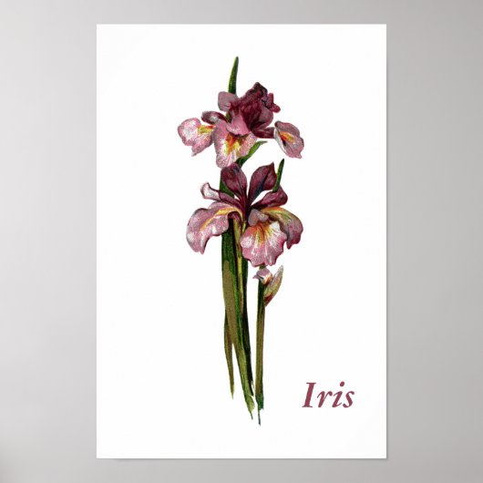 Poster personnalisé Purple Irises (Devant)