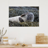 Poster Personnaliser (Cuisine)