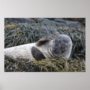 Poster Personnaliser