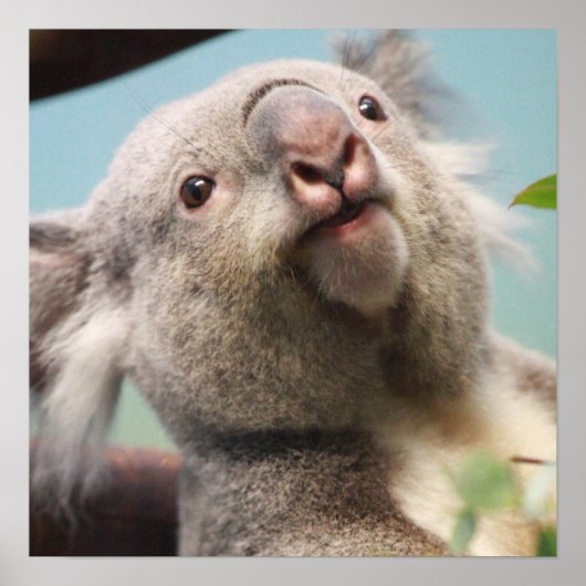 Poster Personnaliser (Devant)