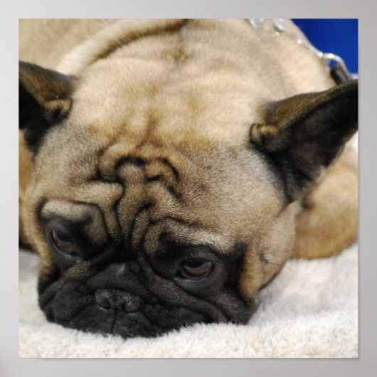 Poster Personnaliser (Devant)