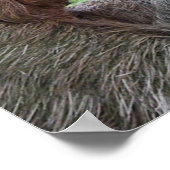 Poster Personnaliser (Coin)