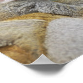 Poster Personnaliser (Coin)