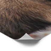 Poster Personnaliser (Coin)